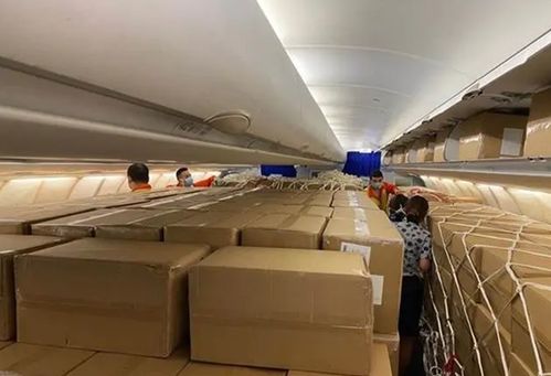 東航“客改貨”包機首航武漢-洛杉磯，國際包機服務邁入全鏈條整合新階段